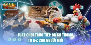Luật Chơi Trực Tiếp Đá Gà Thomo Từ A-Z Cho Người Mới