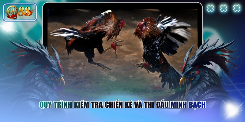 Quy trình kiểm tra chiến kê và thi đấu minh bạch